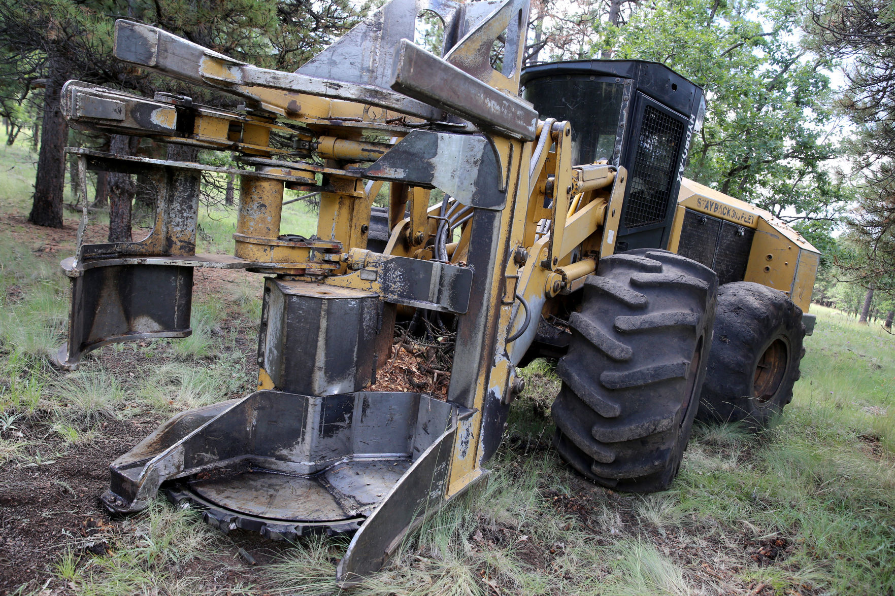 Mechanized Thinning